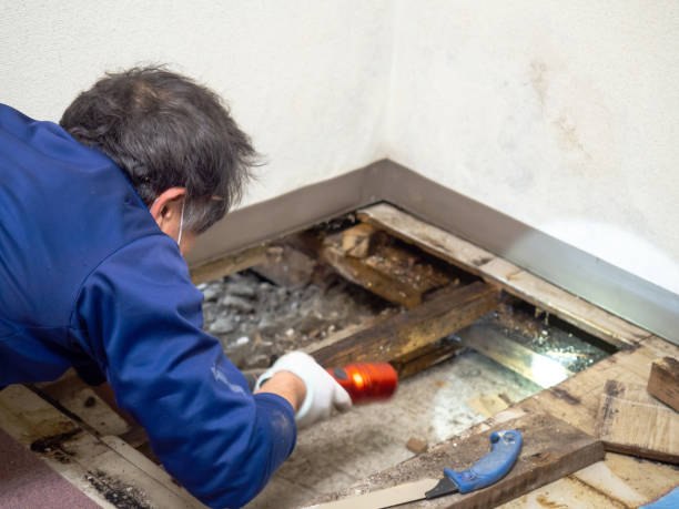 Best Commercial Mold Removal  in Aransas Pass, TX