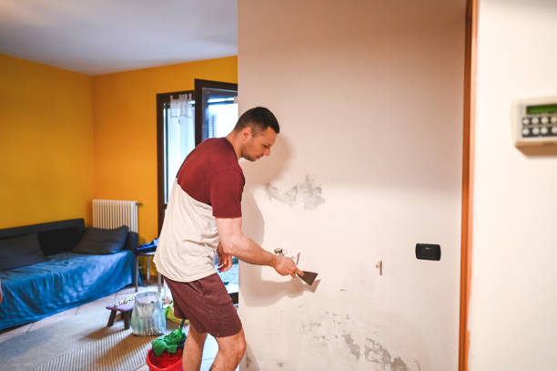 Best Residential Mold Removal  in Aransas Pass, TX
