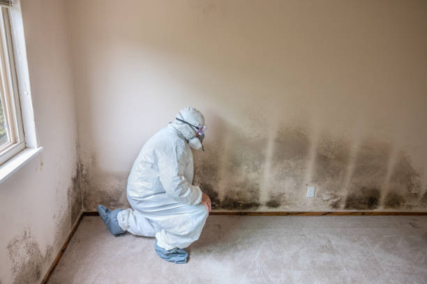 Best Mold Testing  in Aransas Pass, TX