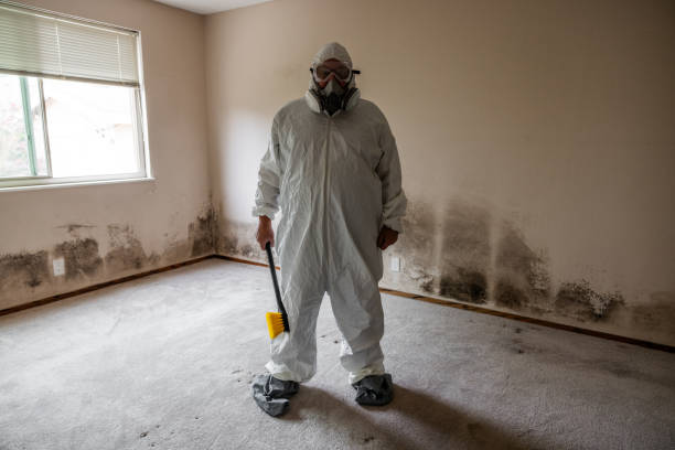 Home Mold Removal in Aransas Pass, TX